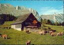 Ansichtskarte - Bergheimet am Gamserberg gegen den Alpstein