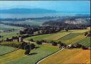 Aventicum - Avenches - Römische Stadtmauer