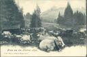 Gruss aus den Bündner Alpen - Postkarte