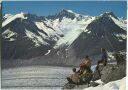 Eggishorn - Großer Aletschgletscher - Ansichtskarte