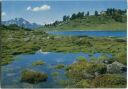 Nendaz - Le petit lac - Restaurant du Tracouet - Ansichtskarte