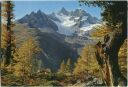 Postkarte - Zermatt - Tufternweg
