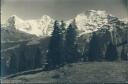 Bei Mürren - Eiger Mönch Jungfrau - Foto-AK