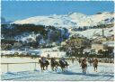 Postkarte - St. Moritz - Pferderennen