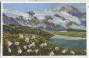 Postkarte - Bernina Pass - Frühlingskuhschelle