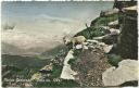 Postkarte - Monte Generoso - Vetta - Ziege