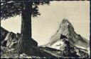 Riffelalp und Matterhorn - Foto-AK 40er Jahre