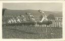 Jubiläums-Turnfest des E. T. V. Aarau 1932 - Foto-AK