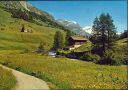 Ansichtskarte - Fex-Platta im Fextal - Oberengadin mit Piz Tremoggia
