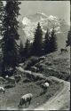 Postkarte - Mürren