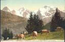 Mürrenbahn - Grütschalp mit Eiger Mönch und Jungfrau