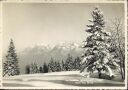 Foto-AK - im Skigebiet Wolzenalp - Blick zum Säntis