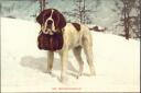 Postkarte - Bernhardinerhund
