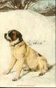 Ansichtskarte - Bernhardinerhund