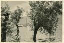 Am Lago Maggiore bei Locarno - Foto-AK Grossformat 1955