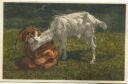 Postkarte - Gitzi auf Besuch - Ziege - Geiss - Goat
