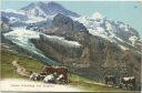 Postkarte - Kleine Scheidegg und Jungfrau - Kühe