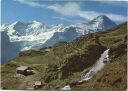 Grindelwald-First - Bachläger mit Fiescherhorn und Eiger - AK-Grossformat