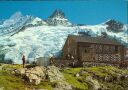 Ansichtskarte - Kanton Bern - Grindelwald - Glecksteinhütte S.A.C.