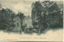 Postkarte - Tour de Duin (Bex) ca. 1900