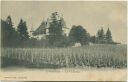 Postkarte - Echandens - le Chateau ca. 1900