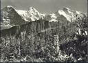 Postkarte - Schynige Platte - Alpengarten