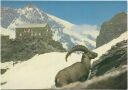 BritanniahÜtte bei Saas-Fee - AK Grossformat