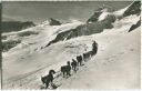 Jungfraujoch - Polarhunde - Foto-Ansichtskarte