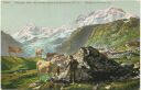 Postkarte - Paturage dans les hautes alpes et le Breithorn