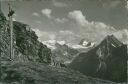 Ansichtskarte - Schweiz - Kanton Wallis - Col de Torrent - La Sage-Grimentz