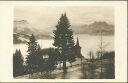 Ansichtskarte - Schweiz - Kanton Waadt - 1854 Leysin