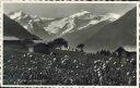 Ansichtskarte - Gstaad und Oldenhorn