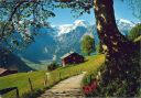 Ansichtskarte - Braunwald