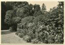 Lugano - Im Park - Foto-AK Grossformat 1954