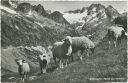 Sustenpass - Steinalp - Foto-AK