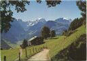 Braunwald - Tödikette - AK Grossformat