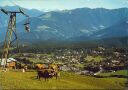 Ansichtskarte - Flims - Blick von Foppa auf Flims-Dorf