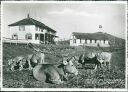 Ansichtskarte - Schweiz - Kanton Appenzell - Gasthaus Hundwilerhöhe