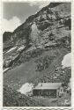 Cabane des Diablerets - Foto-AK