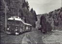 Postkarte - Sihltalbahn - Sihlwald - Foto-AK Grossformat