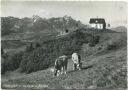 Gäbris - Gasthaus Gäbris - Foto-AK Grossformat