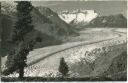 Blick vom Aletschwald - Foto-Postkarte