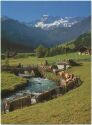 Züglete bei Adelboden - Engstligbach mit Wildstrubel - AK-Grossformat