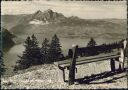 Foto-AK - Rigipromenade mit Pilatus