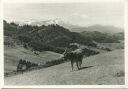 Speicher - Ferienhaus Libanon - Foto-AK Grossformat