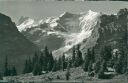 Ansichtskarte - Schweiz - Kanton Bern - Grindelwald - Bussalp