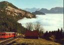 Ansichtskarte - Rigi-Kaltbad - Vitznau-Rigi-Bahn