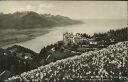 Ansichtskarte - Kanton Waadt - 1894 Caux - Palace-Hotel