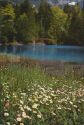 Ansichtskarte - Blausee