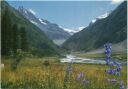Zinal - Val d' Anniviers au fond le Besso - AK Grossformat